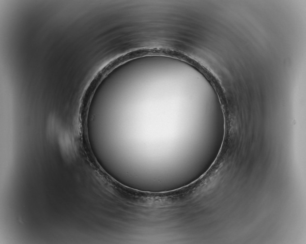 X0000096200927200801181338