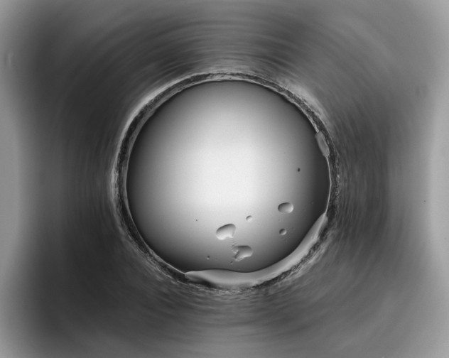 X0000096200928200801181338