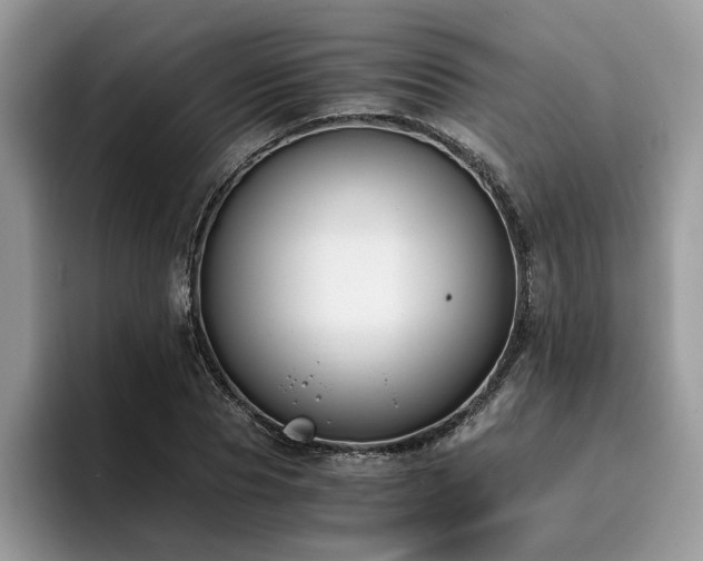 X0000096200929200801181338