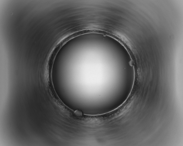 X0000096200931200801181338
