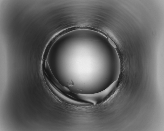 X0000096200932200801181338