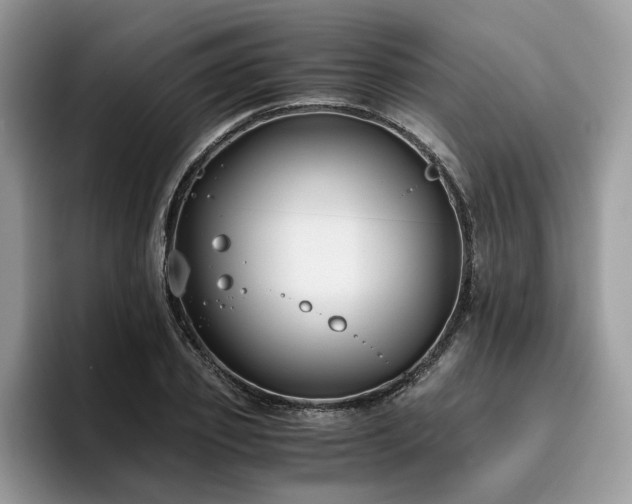 X0000096200933200801181338