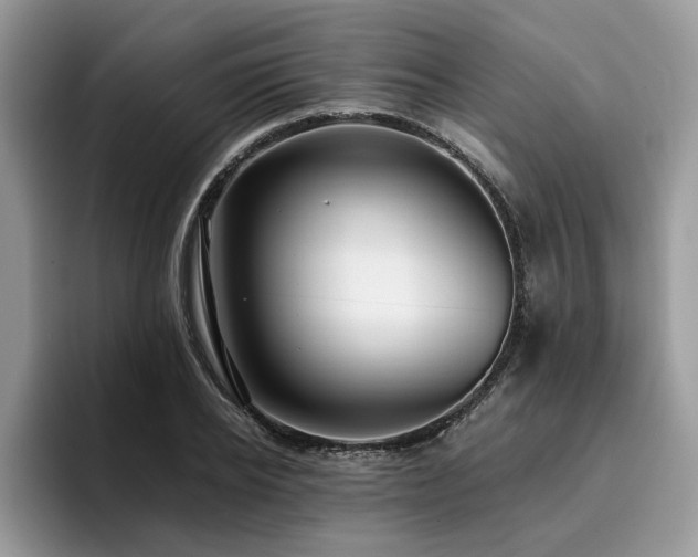 X0000096200934200801181338