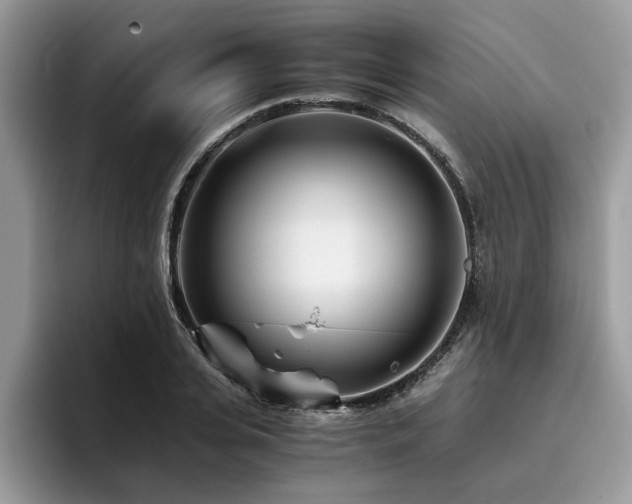 X0000096200935200801181338