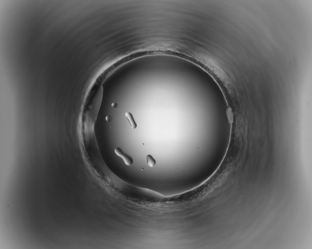 X0000096200936200801181338