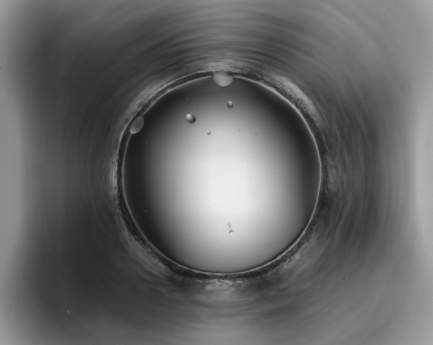 X0000096200938200801181338
