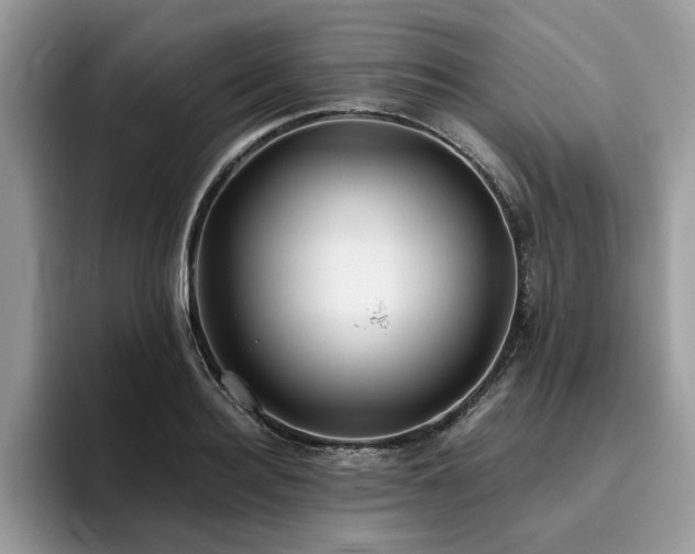 X0000096200940200801181338