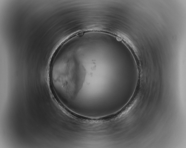 X0000096200941200801181338