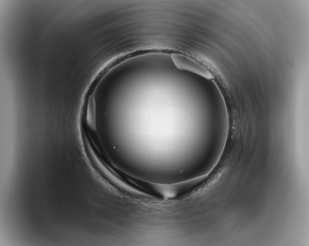 X0000096200942200801181338