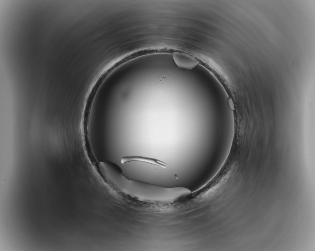 X0000096200943200801181338