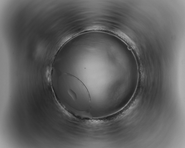X0000096200945200801181338