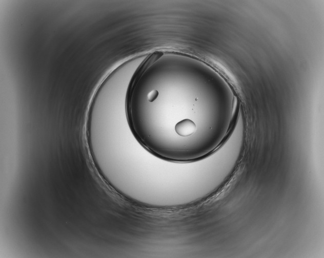 X0000096200948200801181338