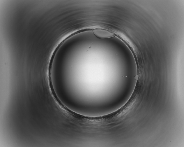 X0000096200951200801181338