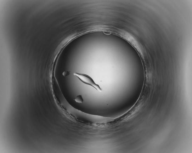 X0000096200954200801181338