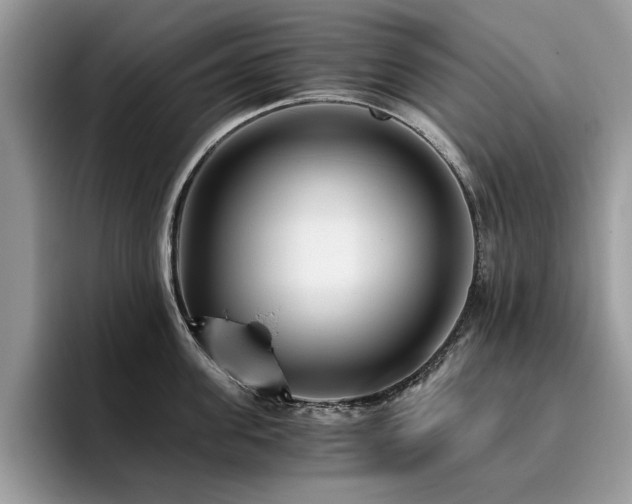 X0000096200955200801181338