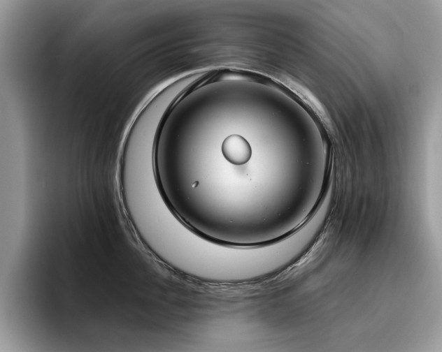 X0000096200956200801181338