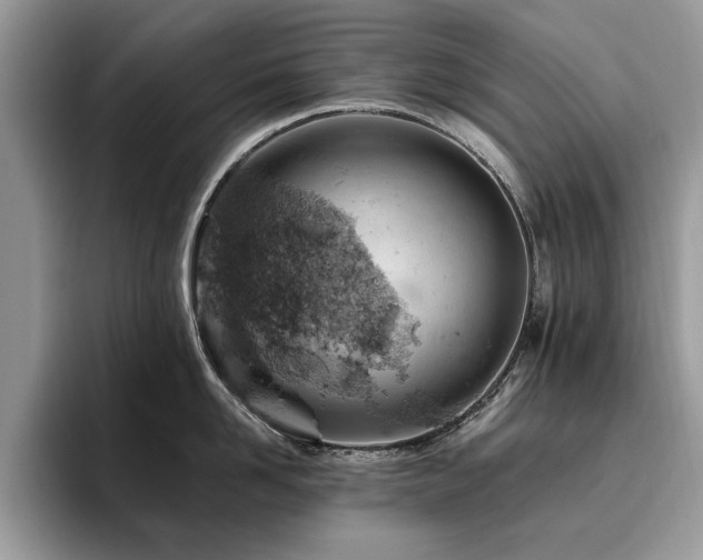 X0000096200958200801181338