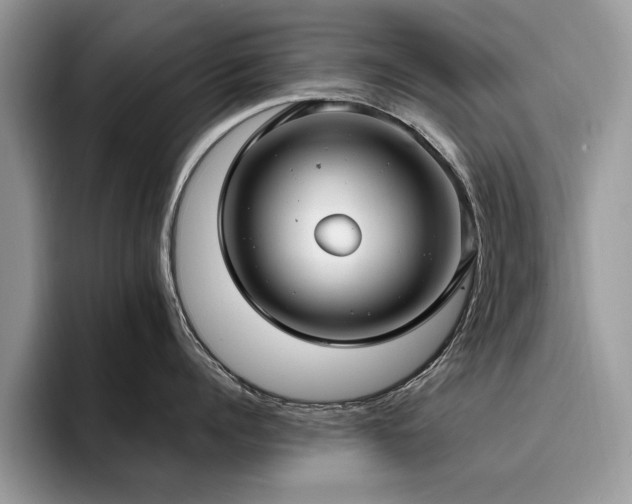 X0000096200960200801181338