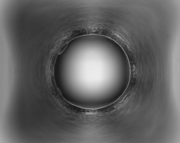 X0000096200961200801181338