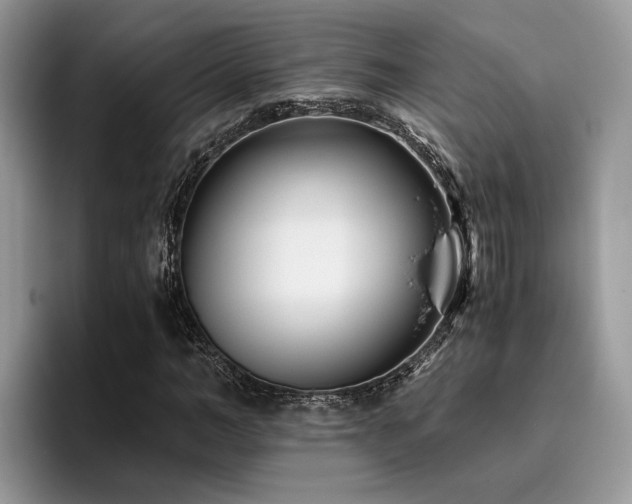 X0000096200966200801181338