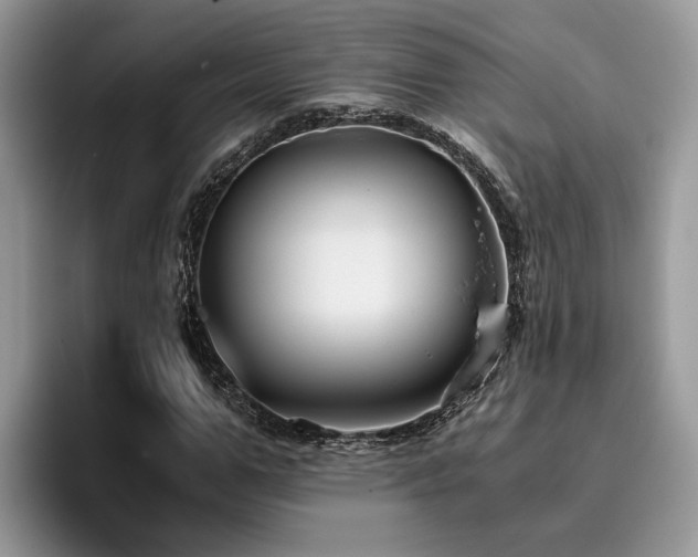 X0000096200967200801181338