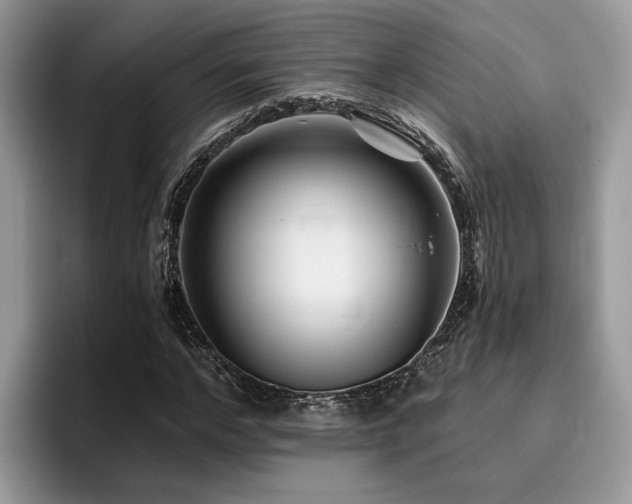 X0000096200968200801181338
