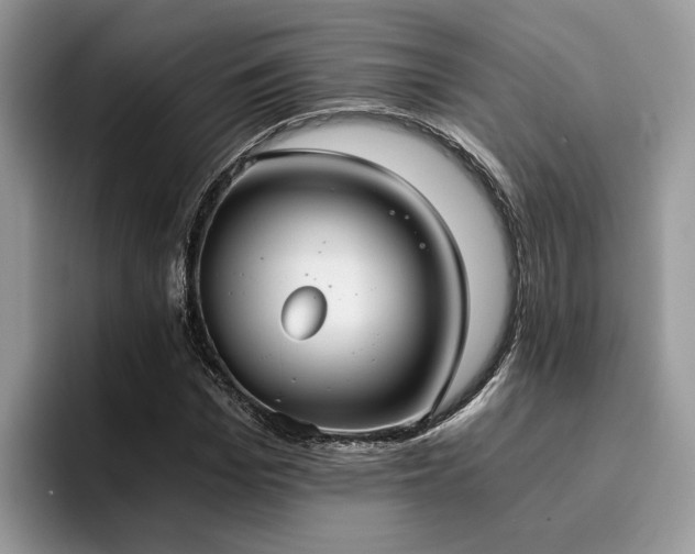 X0000096200969200801181338