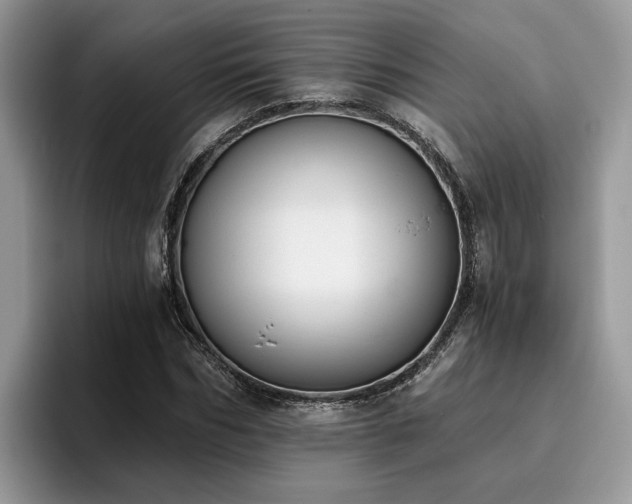 X0000096200970200801181338