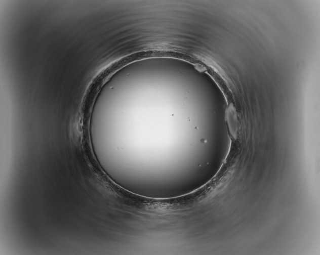 X0000096200971200801181338