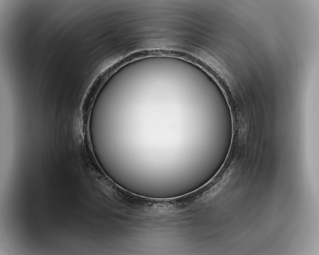 X0000096200974200801181337