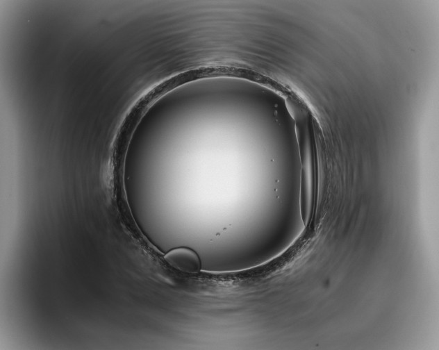 X0000096200975200801181337