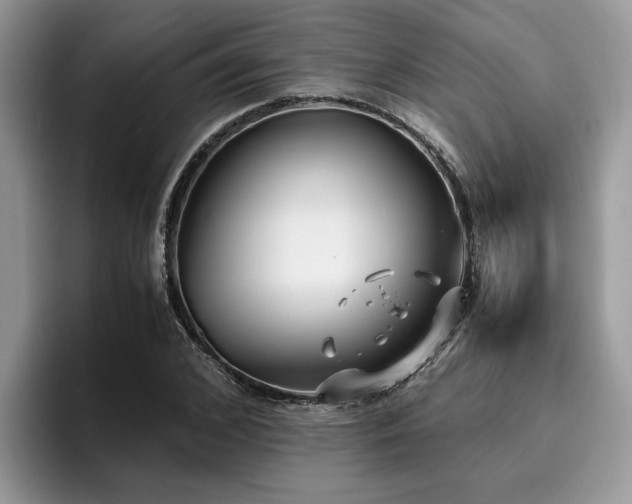 X0000096200976200801181337