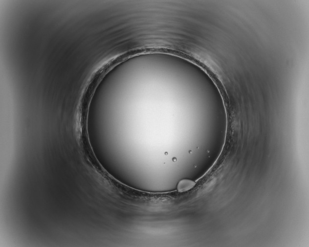 X0000096200979200801181337