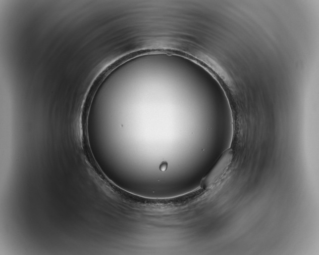 X0000096200980200801181337