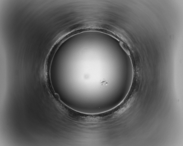 X0000096200981200801181337