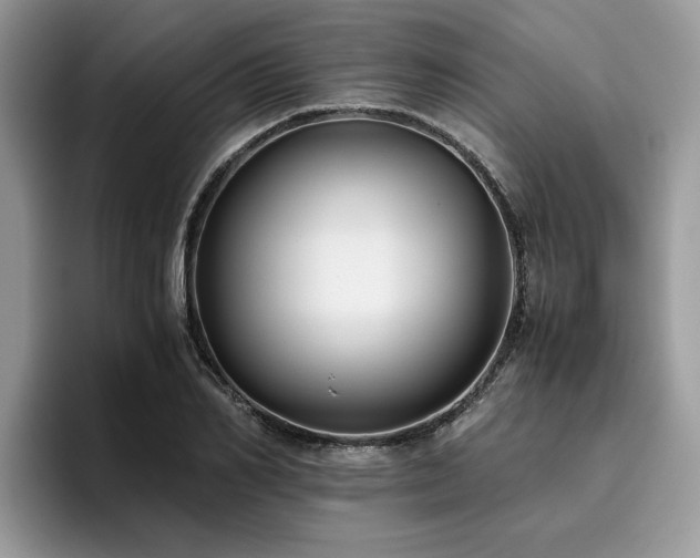 X0000096200982200801181337