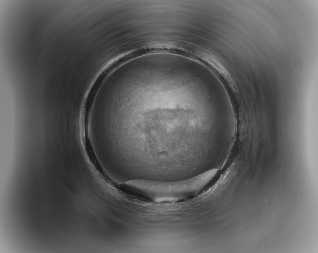 X0000096200984200801181337