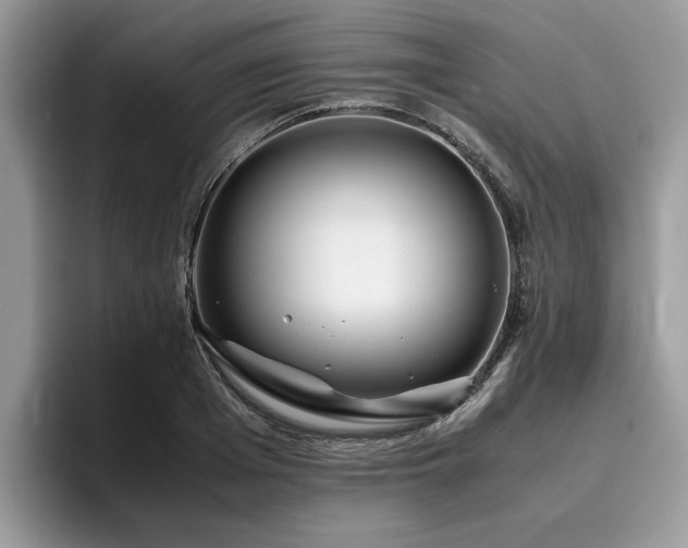X0000096200985200801181337