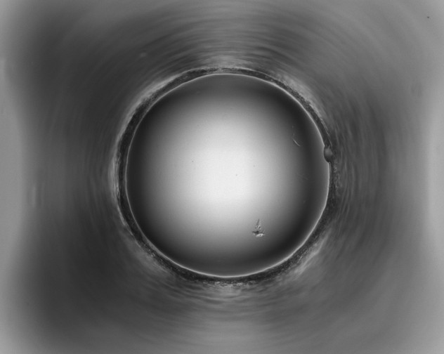 X0000096200987200801181337