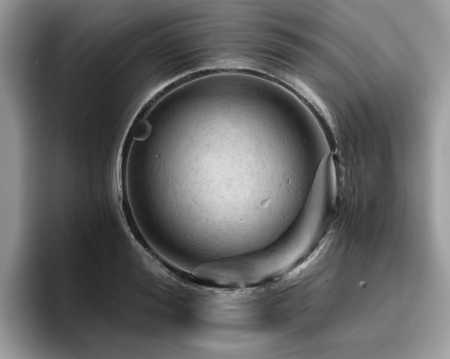 X0000096200988200801181337