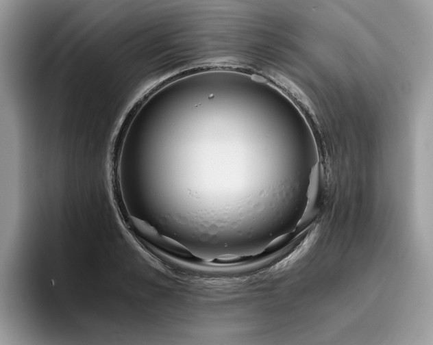 X0000096200989200801181337
