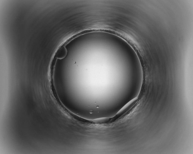 X0000096200990200801181337