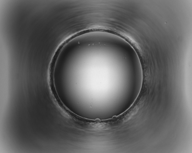 X0000096200991200801181337