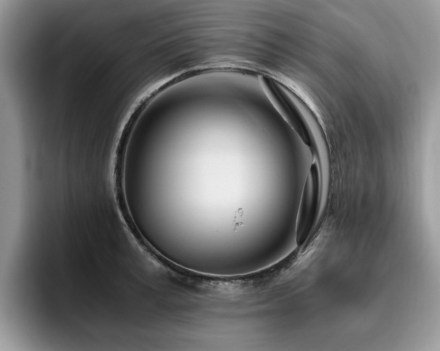 X0000096200995200801181337