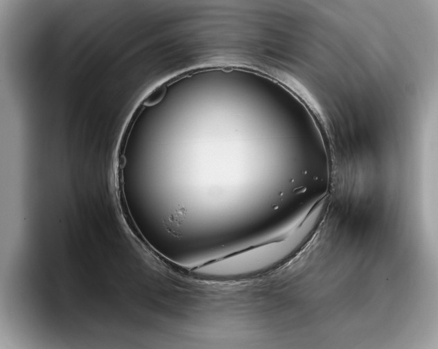 X0000096200996200801181337