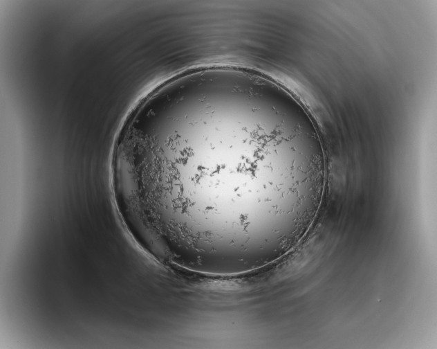X0000096200998200801181337