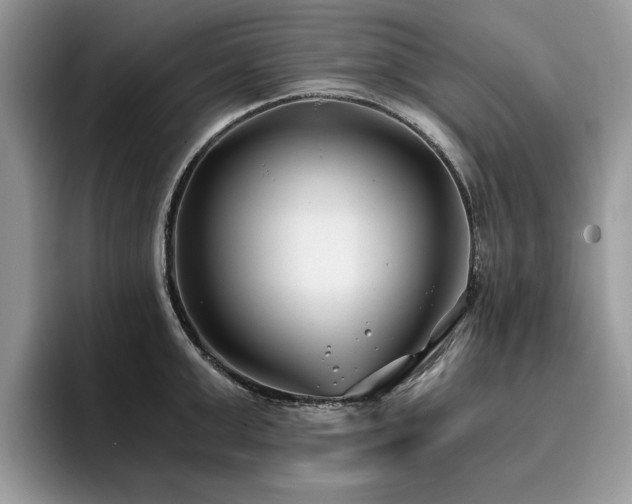 X0000096200999200801181337