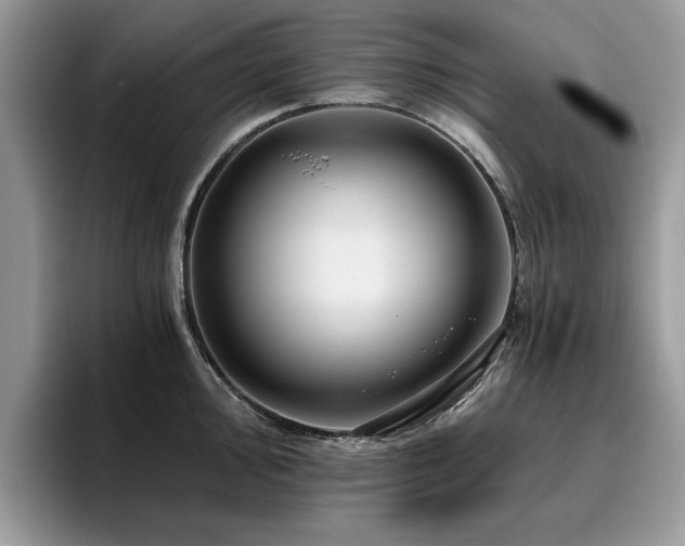 X0000096201000200801181337