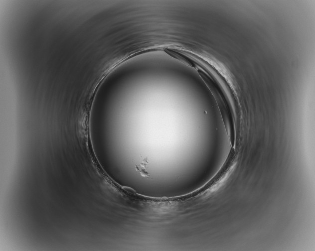 X0000096201001200801181337