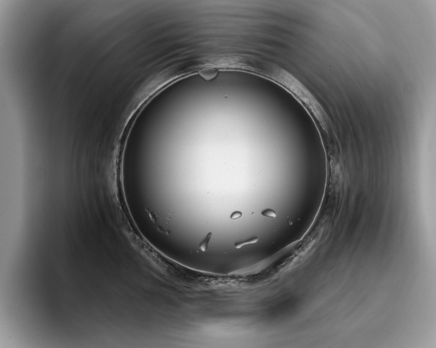 X0000096201002200801181337